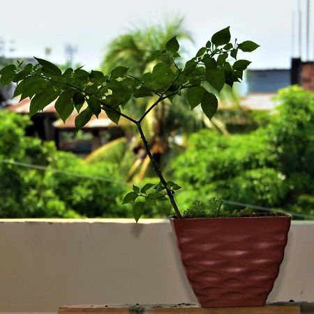 Flor del Valle Tarapoto Exterior foto